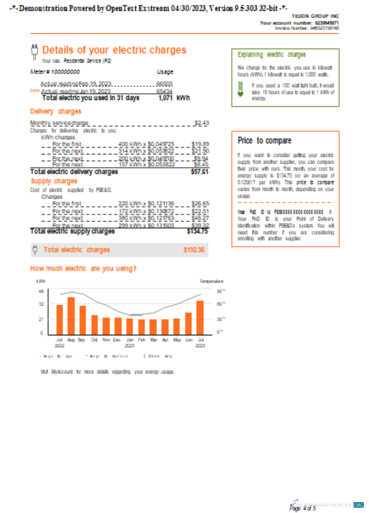 Download New York PSEG utility business bill, page 4, SCR Photoshop template